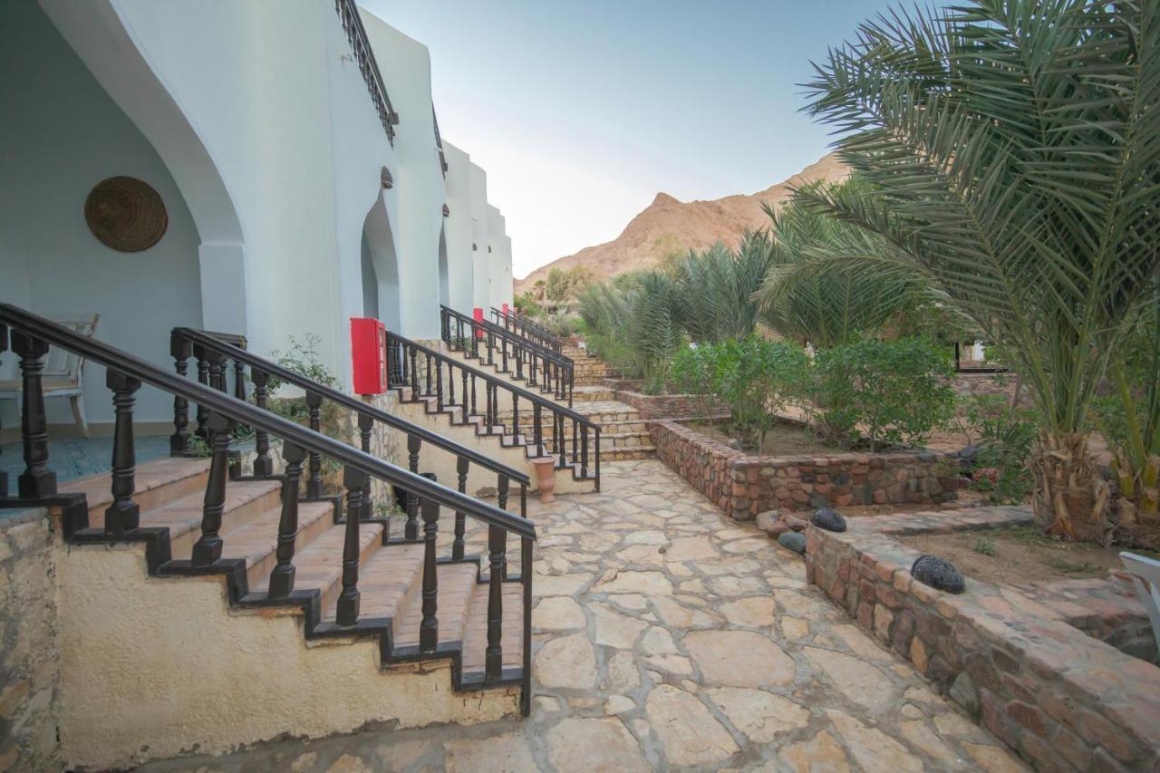 The Bedouin Moon Hotel Dahab Exterior photo