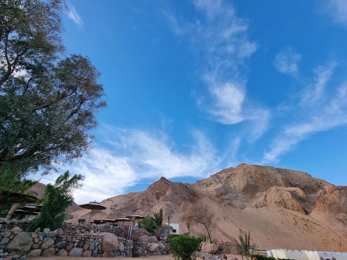 The Bedouin Moon Hotel Dahab Exterior photo